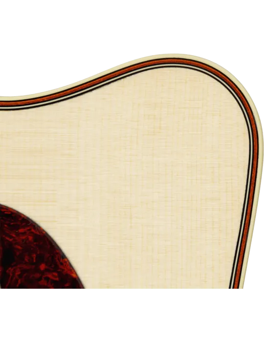 TAKAMINE P5NC | MusicGoodDeal