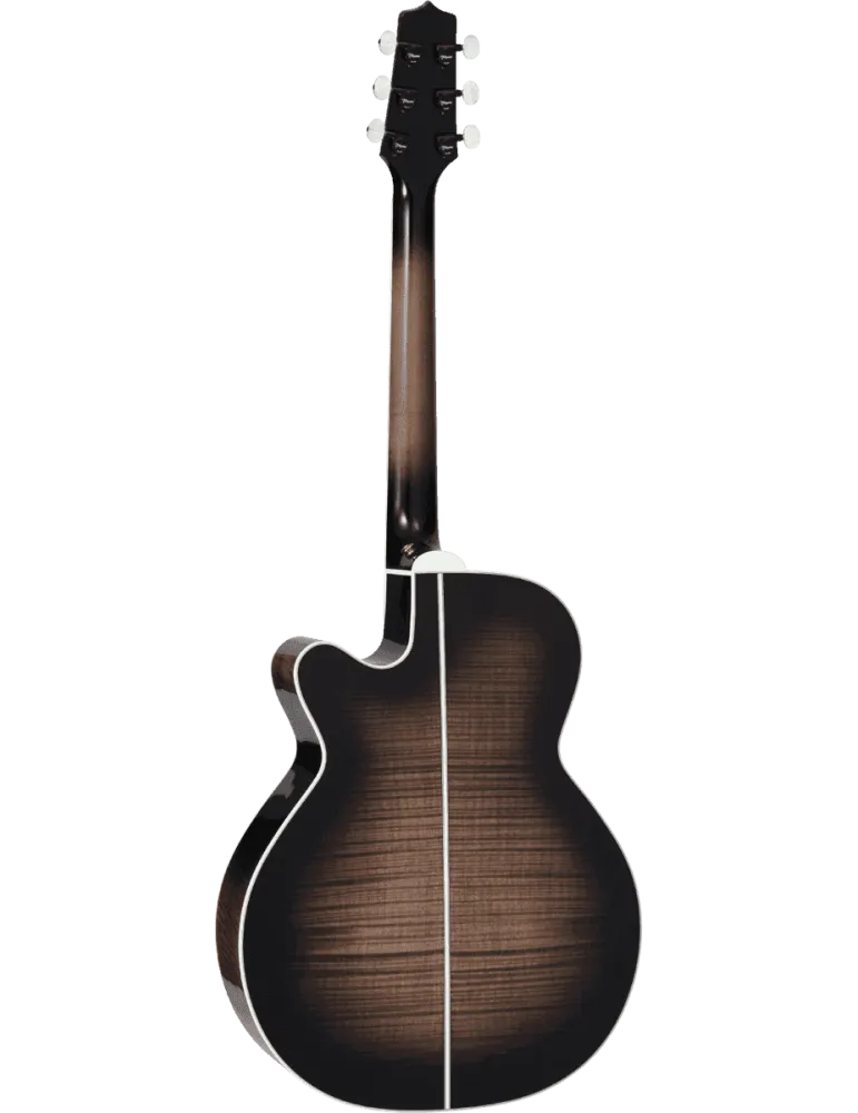 TAKAMINE EF450CTTBB | MusicGoodDeal