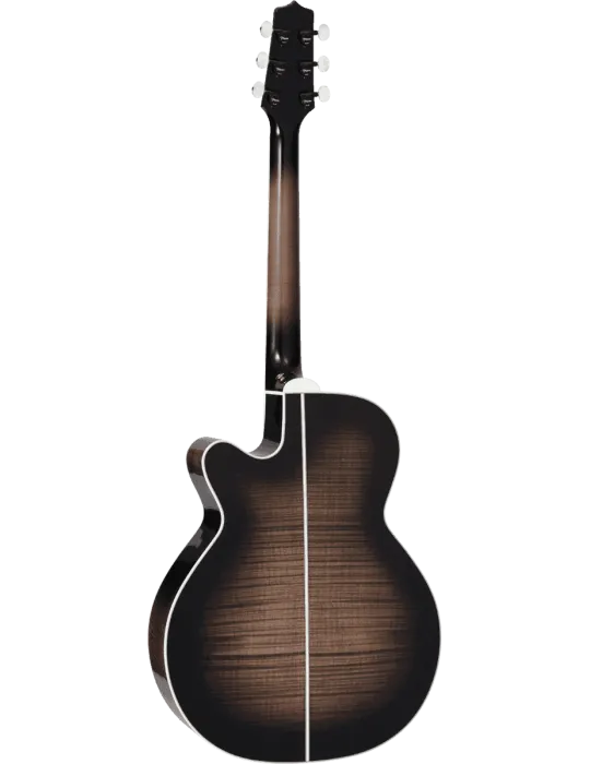 TAKAMINE EF450CTTBB | MusicGoodDeal