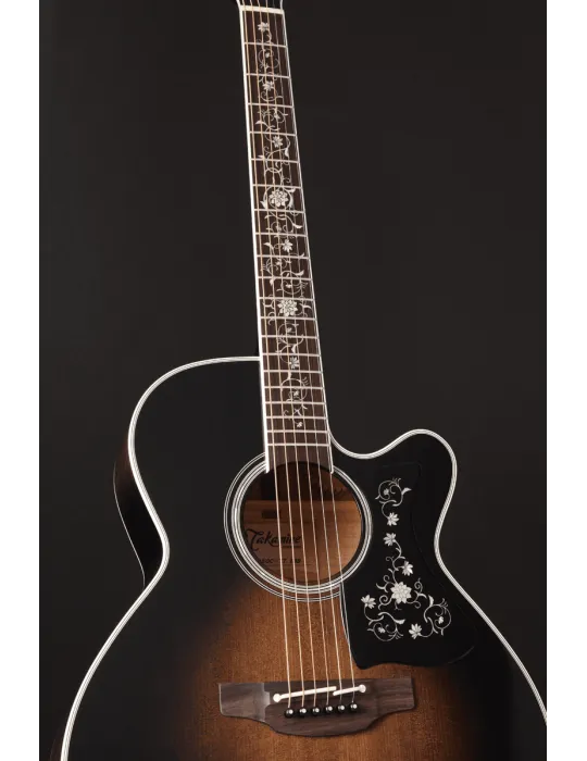 TAKAMINE EF450CTTBB | MusicGoodDeal