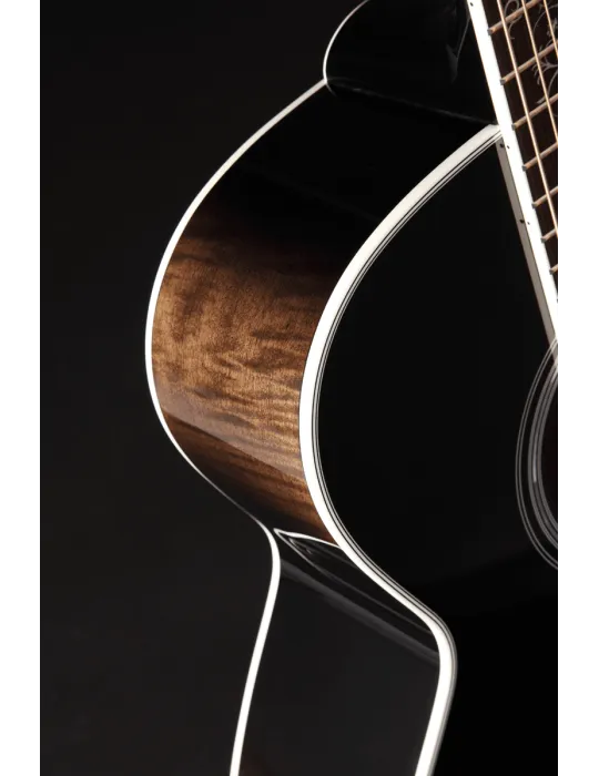 TAKAMINE EF450CTTBB | MusicGoodDeal
