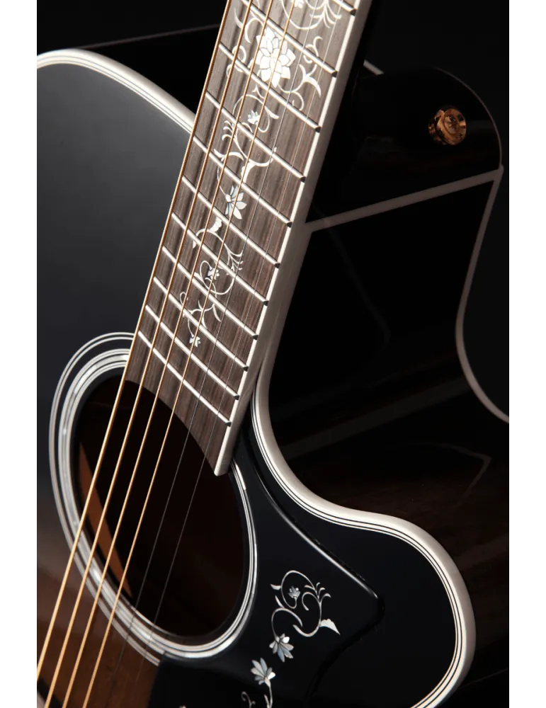 TAKAMINE EF450CTTBB | MusicGoodDeal