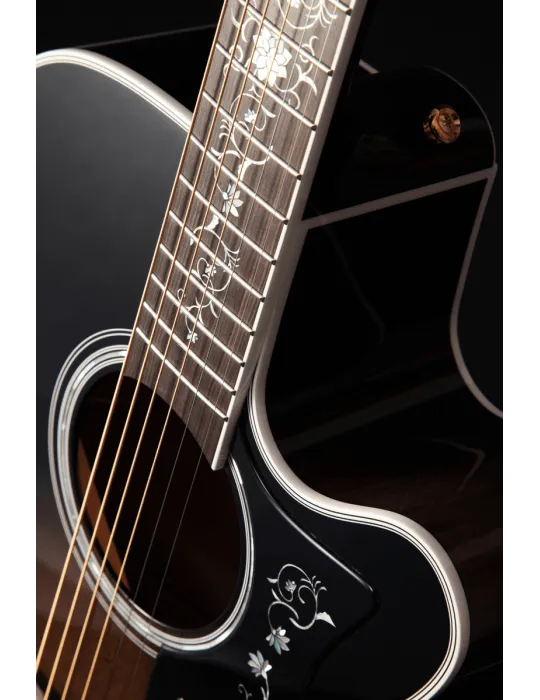TAKAMINE EF450CTTBB | MusicGoodDeal