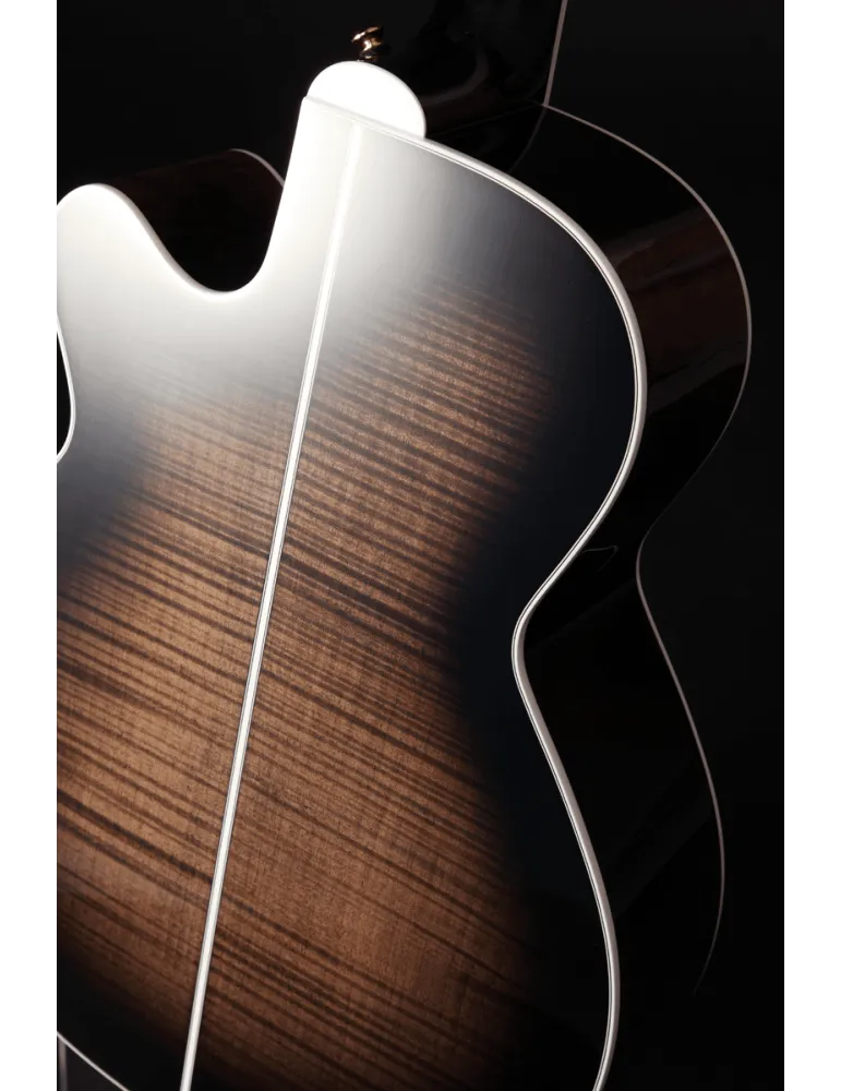 TAKAMINE EF450CTTBB | MusicGoodDeal