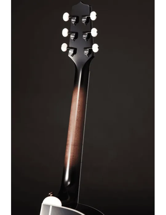 TAKAMINE EF450CTTBB | MusicGoodDeal