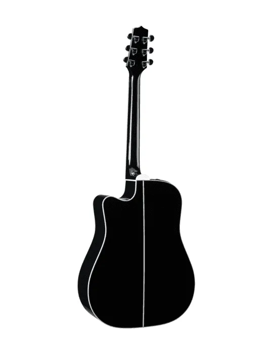 TAKAMINE EF341SC | MusicGoodDeal