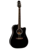 TAKAMINE EF341DX | MusicGoodDeal