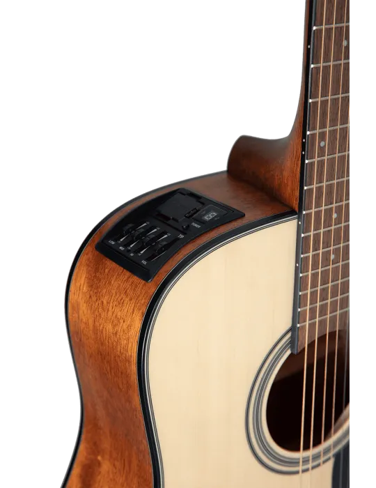 TAKAMINE GLD12ENS | MusicGoodDeal