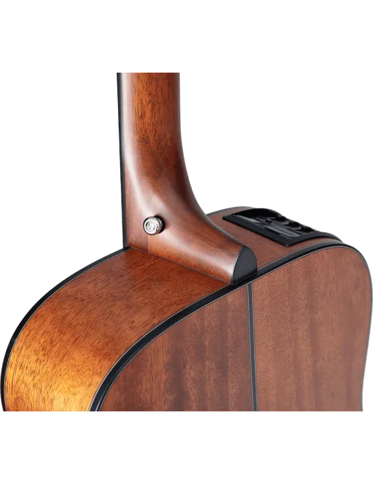 TAKAMINE GLD12ENS | MusicGoodDeal