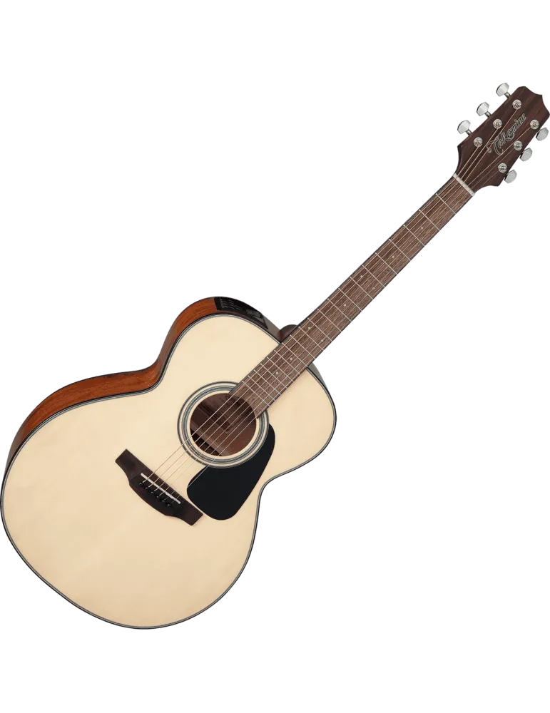 TAKAMINE GLN12ENS | MusicGoodDeal