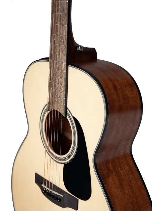TAKAMINE GLN12ENS | MusicGoodDeal