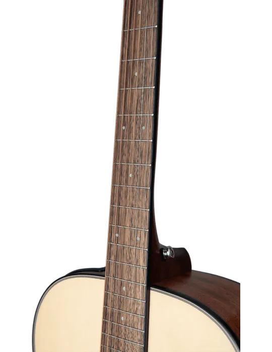 TAKAMINE GLN12ENS | MusicGoodDeal