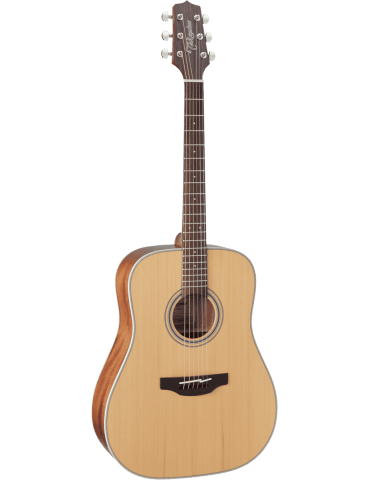 TAKAMINE GD20NS | MusicGoodDeal