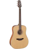 TAKAMINE GD20NS | MusicGoodDeal