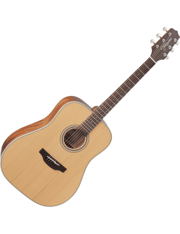 TAKAMINE GD20NS | MusicGoodDeal 2