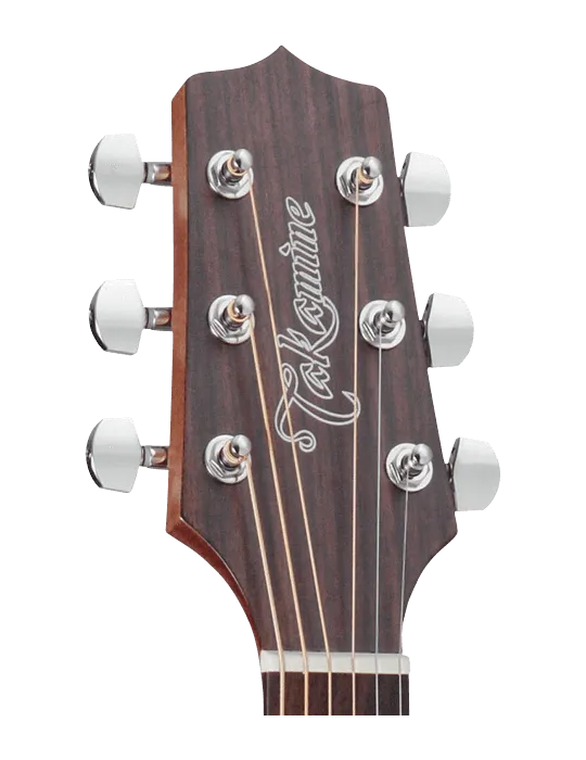 TAKAMINE GD20NS | MusicGoodDeal