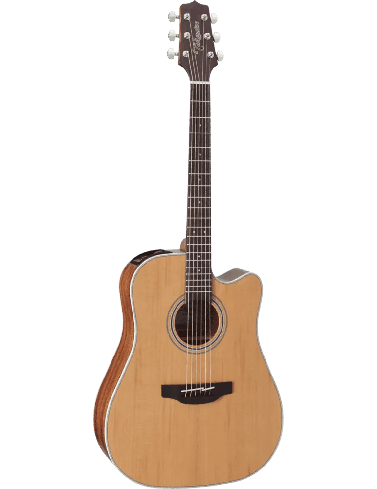 TAKAMINE GD20CENS | MusicGoodDeal