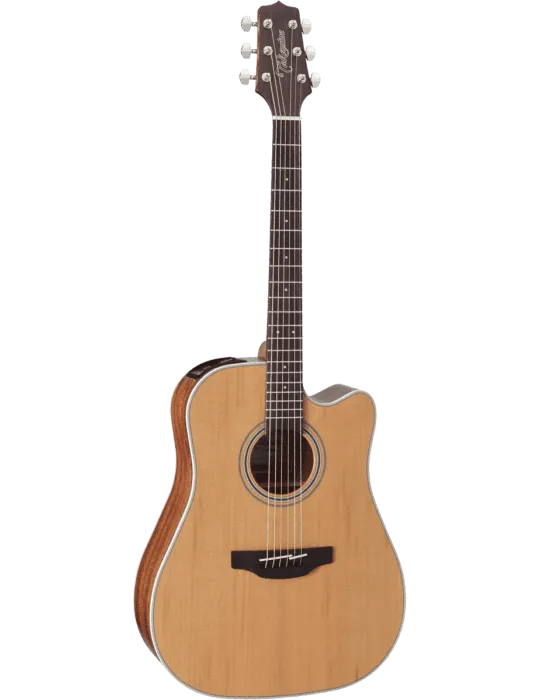 TAKAMINE GD20CENS | MusicGoodDeal