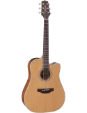 TAKAMINE GD20CENS | MusicGoodDeal