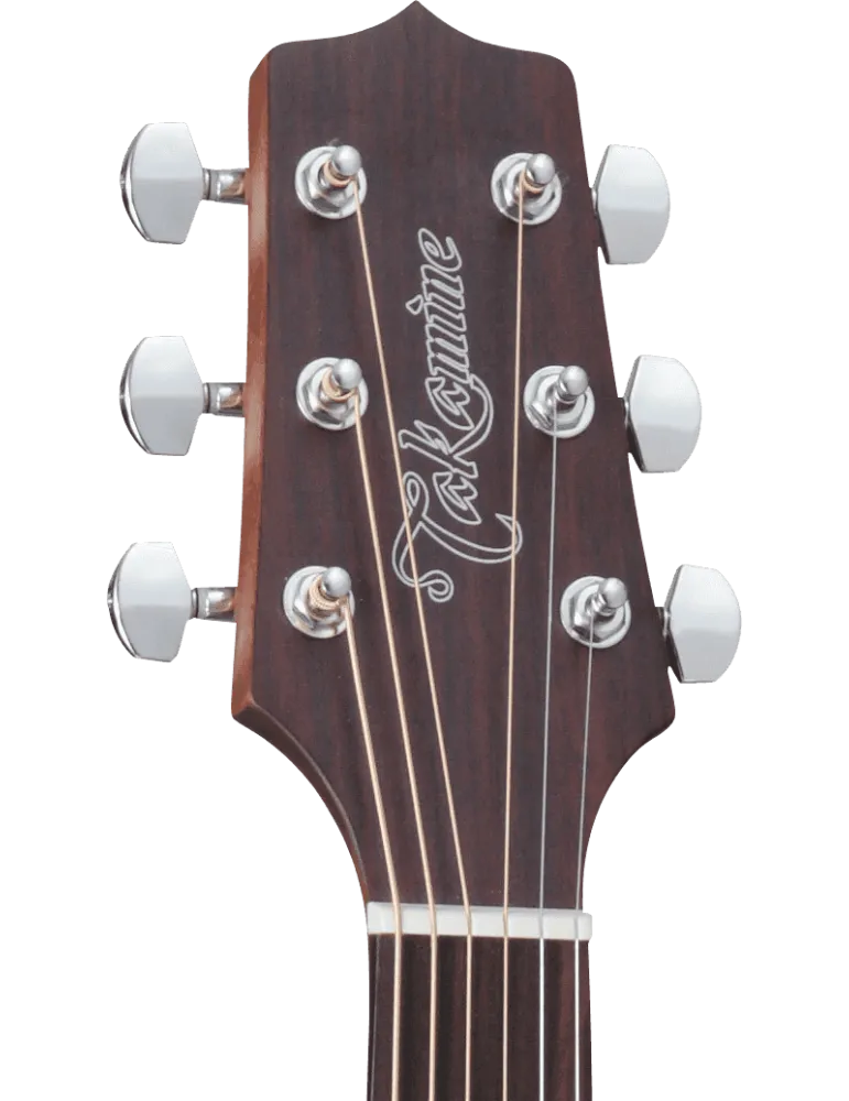 TAKAMINE GD20CENS | MusicGoodDeal