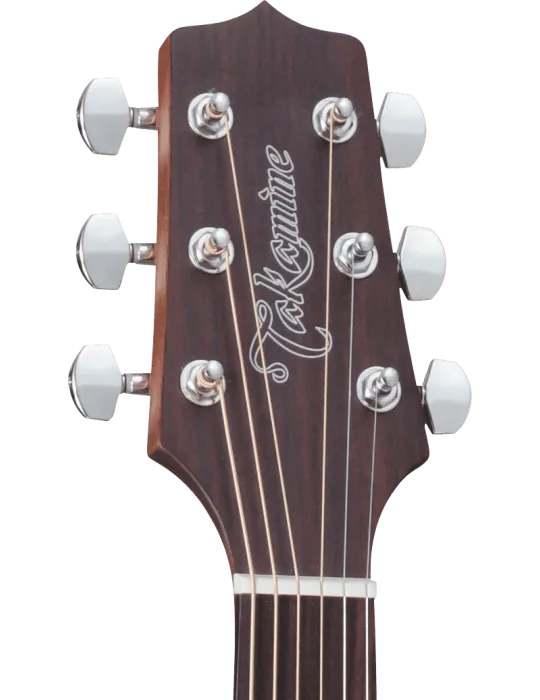TAKAMINE GD20CENS | MusicGoodDeal