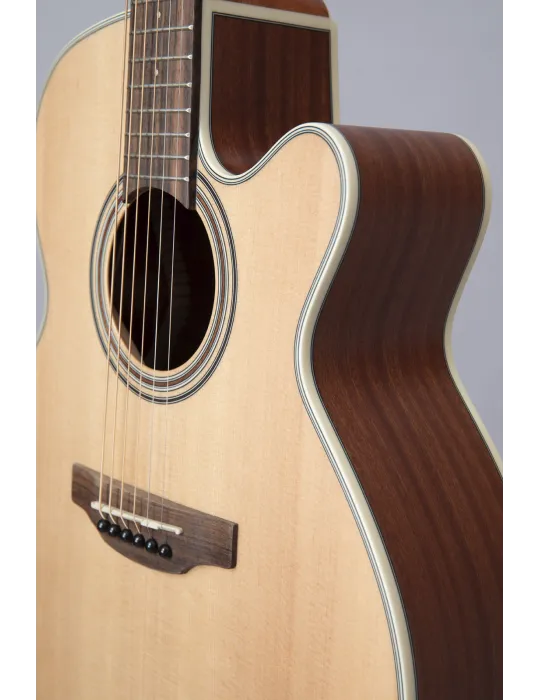 TAKAMINE GX31CE-NS | MusicGoodDeal