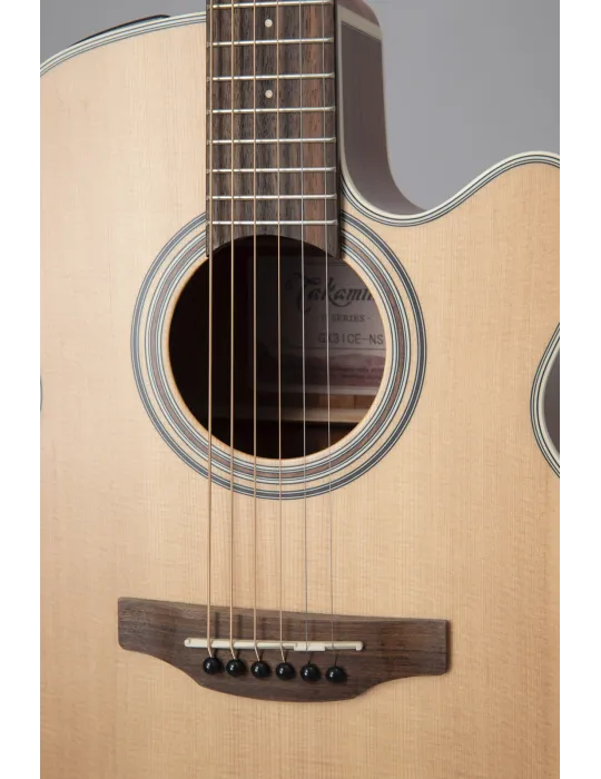 TAKAMINE GX31CE-NS | MusicGoodDeal