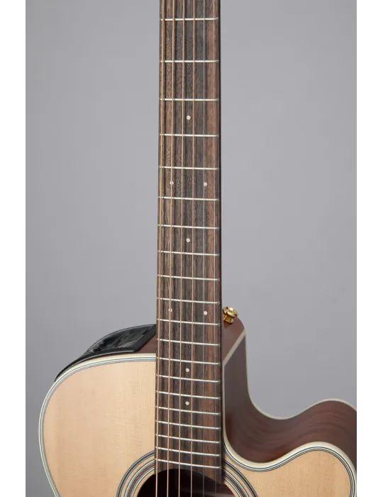 TAKAMINE GX31CE-NS | MusicGoodDeal