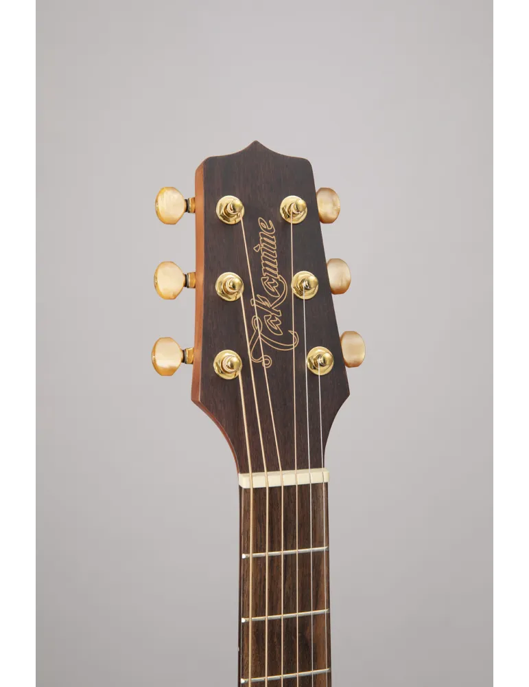 TAKAMINE GX31CE-NS | MusicGoodDeal
