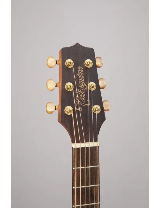 TAKAMINE GX31CE-NS | MusicGoodDeal