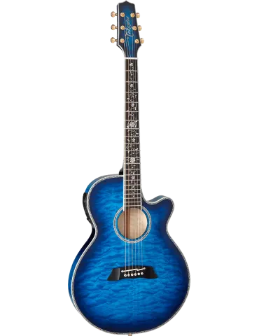 TAKAMINE TSP100-DBS | MusicGoodDeal