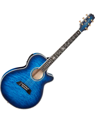 TAKAMINE TSP100-DBS | MusicGoodDeal 2