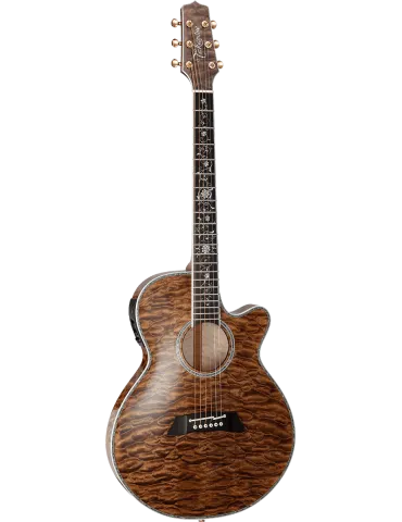 TAKAMINE TSP100-VT | MusicGoodDeal