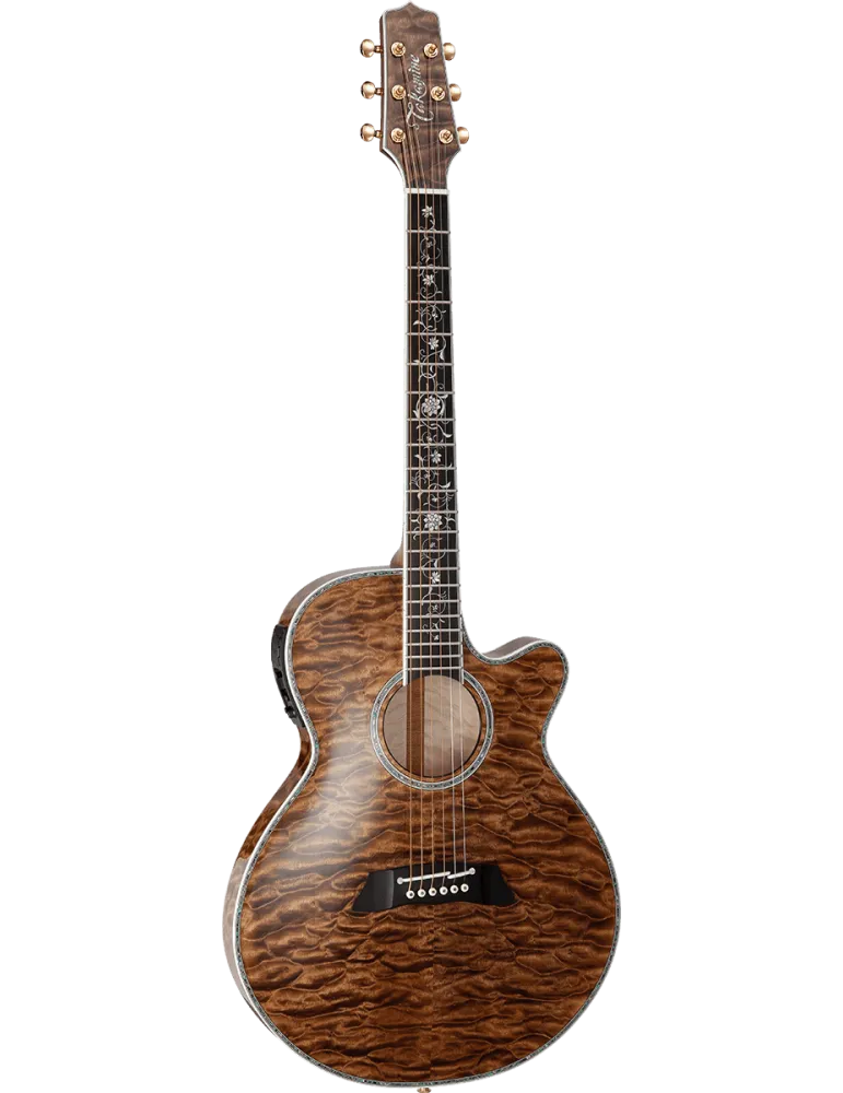 TAKAMINE TSP100-VT | MusicGoodDeal
