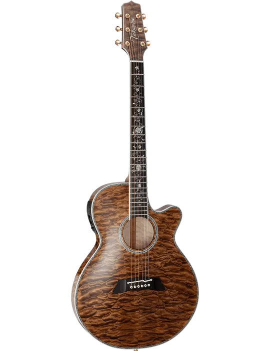 TAKAMINE TSP100-VT | MusicGoodDeal