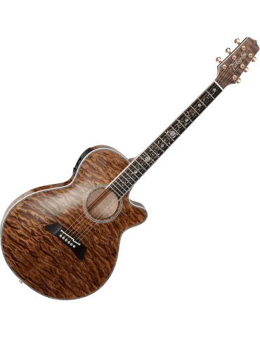 TAKAMINE TSP100-VT | MusicGoodDeal 2