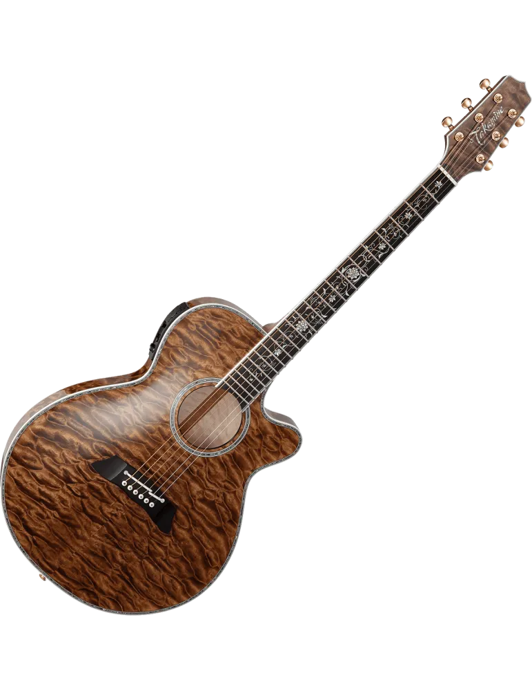 TAKAMINE TSP100-VT | MusicGoodDeal