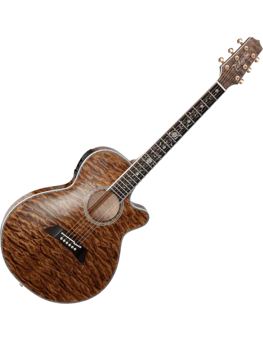 TAKAMINE TSP100-VT | MusicGoodDeal