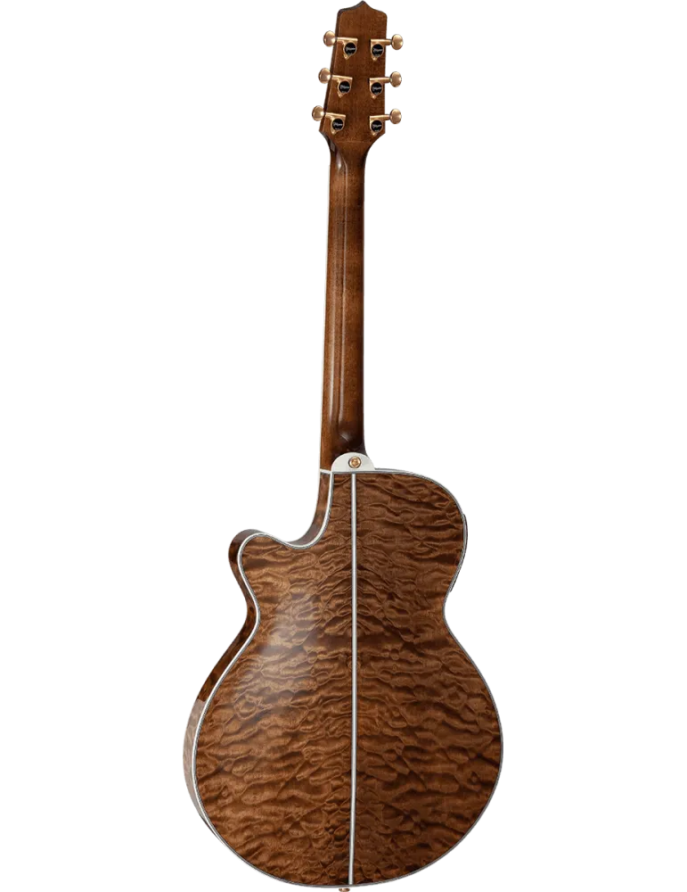 TAKAMINE TSP100-VT | MusicGoodDeal