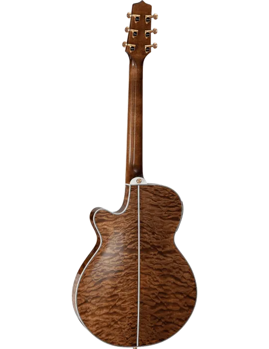 TAKAMINE TSP100-VT | MusicGoodDeal
