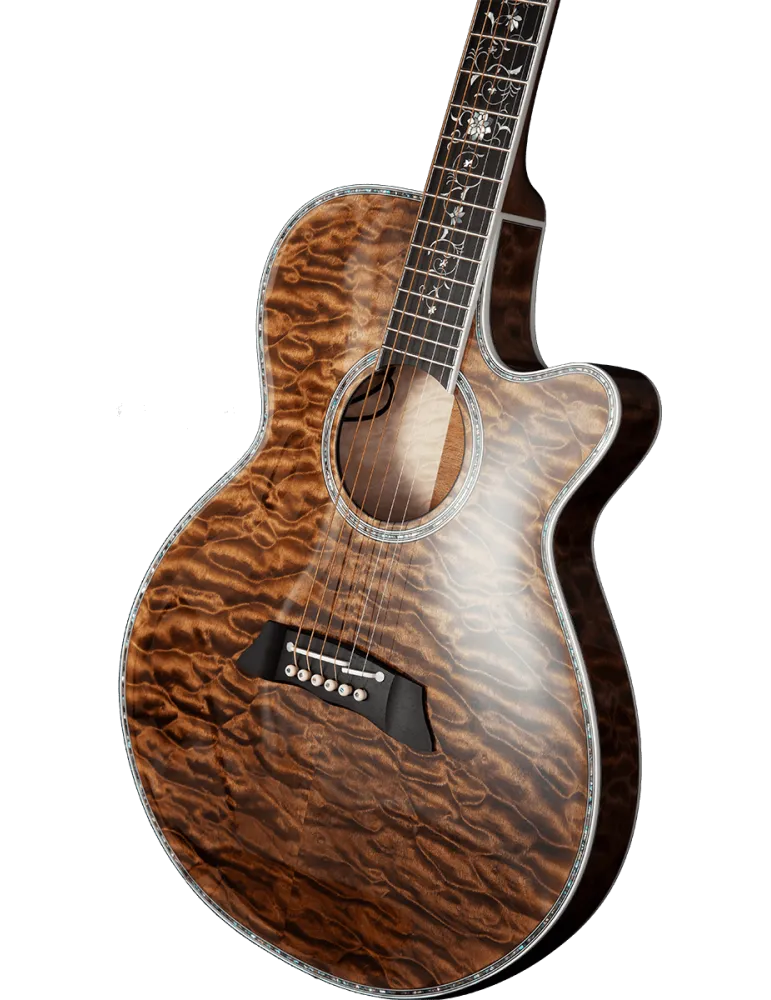 TAKAMINE TSP100-VT | MusicGoodDeal