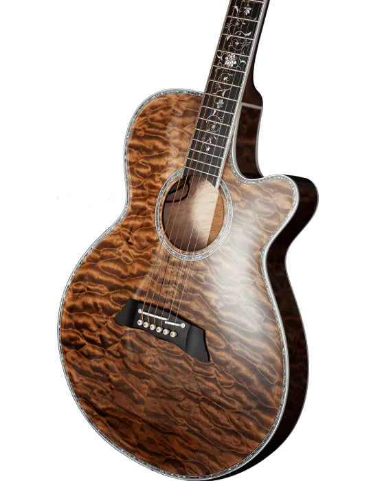 TAKAMINE TSP100-VT | MusicGoodDeal