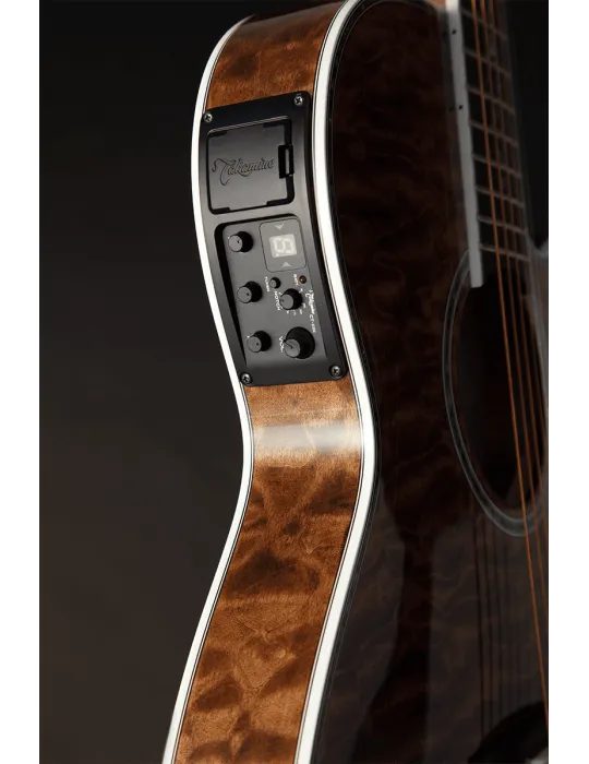 TAKAMINE TSP100-VT | MusicGoodDeal
