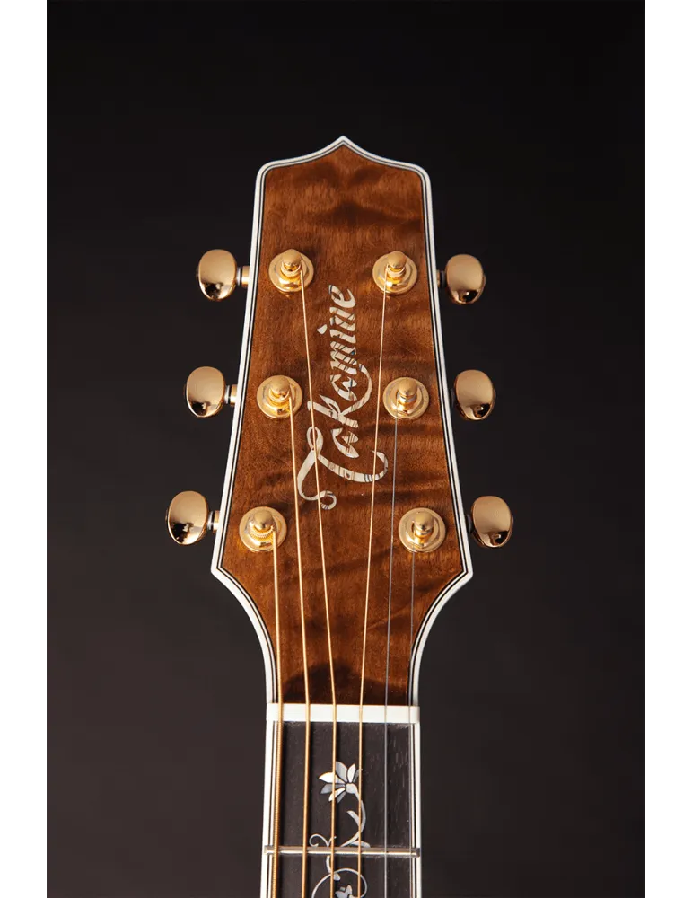 TAKAMINE TSP100-VT | MusicGoodDeal