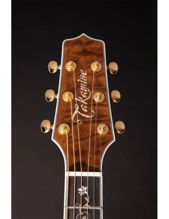 TAKAMINE TSP100-VT | MusicGoodDeal