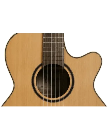 TAKAMINE P3FCN | MusicGoodDeal