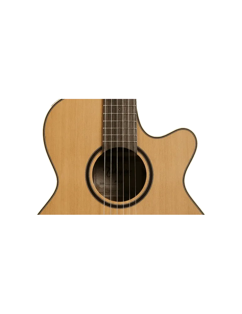 TAKAMINE P3FCN | MusicGoodDeal