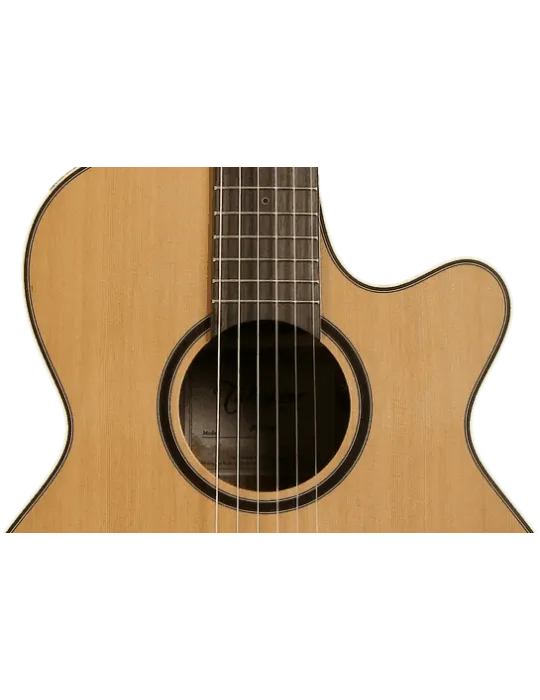 TAKAMINE P3FCN | MusicGoodDeal