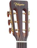 TAKAMINE P3NY | MusicGoodDeal