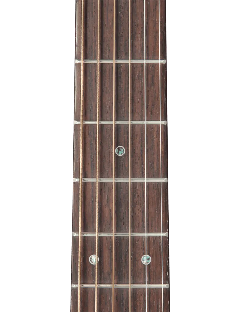 TAKAMINE P5DC | MusicGoodDeal